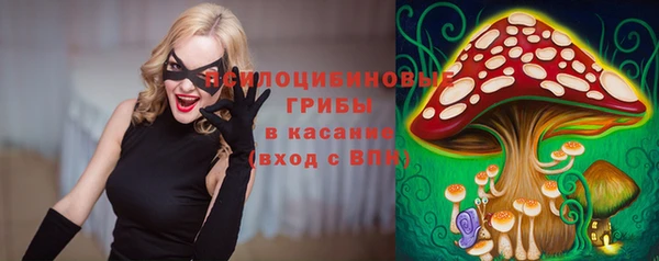 трава Беломорск
