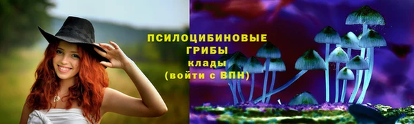 соль ск Белокуриха
