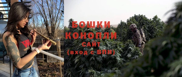 трава Беломорск