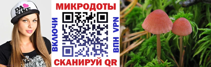 Псилоцибиновые грибы GOLDEN TEACHER  Облучье 